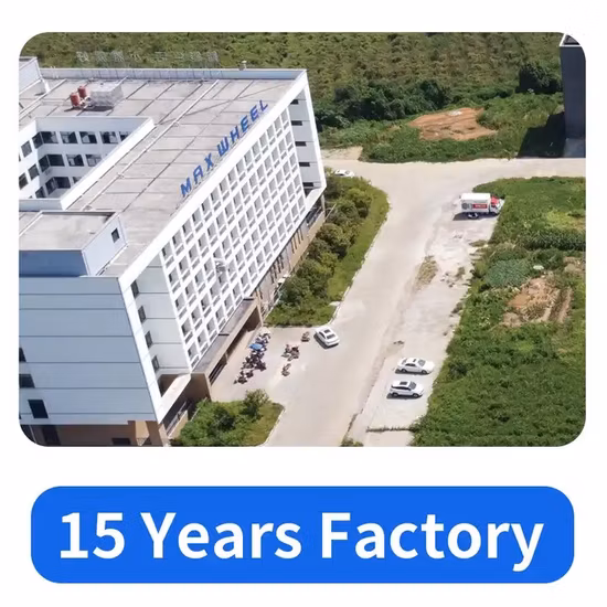 중국 48V 성인용 새 전자 스쿠터, 전자 스쿠터, 좌석이 있는 전기 스쿠터